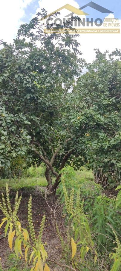 WhatsApp Image 2025-02-10 at 10.33.03.jpeg